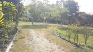 The Wild Tiger Resort Vacation rental in India