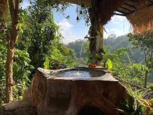 Bali Inang Jungle view Private Jacuzzi Vacation rental in Tampaksiring