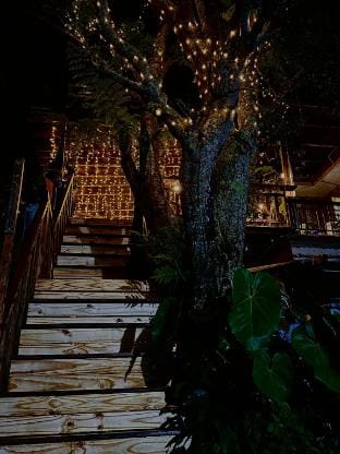 Đưa Nhau Đi Trốn homestay Vacation rental in Dalat