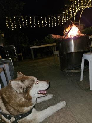 Family/Barkada Unit MGF-15 pax-backyard bonfire Vacation rental in Baguio