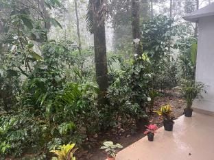 Greenspun homestay Vacation rental in Kerala