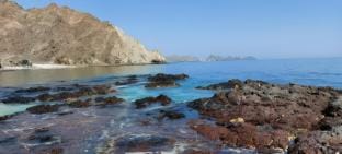 Prestine Beach and Comfortable Apartment OGP2902 Apartment in Muscat Governorate, Oman