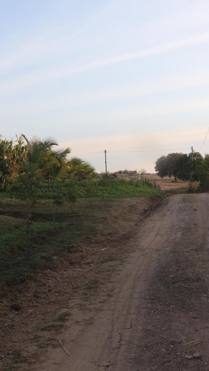 Happy Farm Home stay Khaoyai Vacation rental in Laos