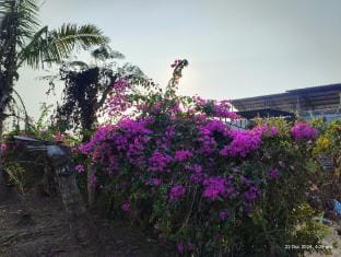 Gayatri Holiday Home  Apartment in Maharashtra