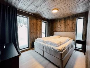 Modern Mountain Cabin - 3 Bedrooms - Sleeps 7 Vacation rental in Viken, Norway