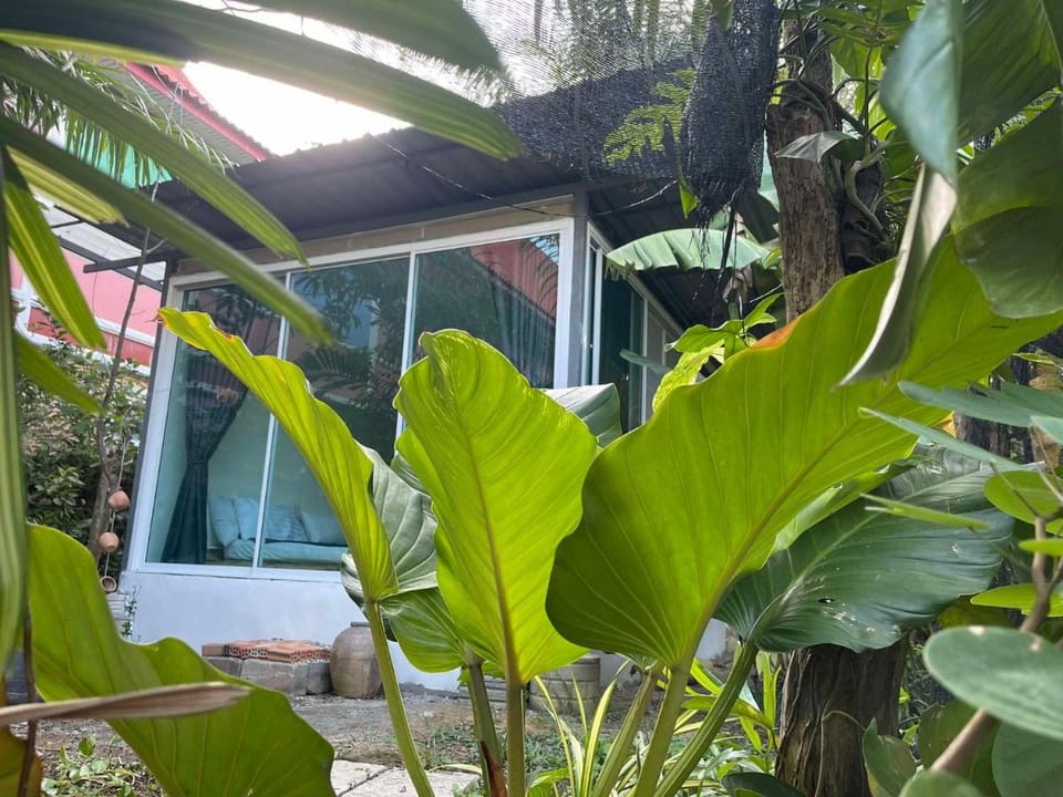 Nok Thong Coffee Vacation rental in Thailand