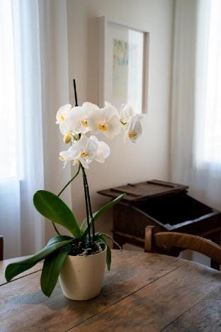 Aventino Boutique Apartment in Rome Apartment in Rome