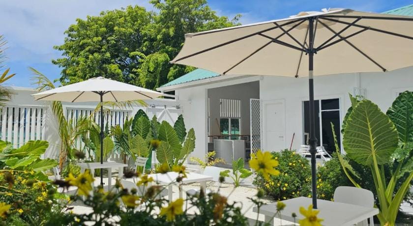 Avi Guesthouse Hotel in Maldives