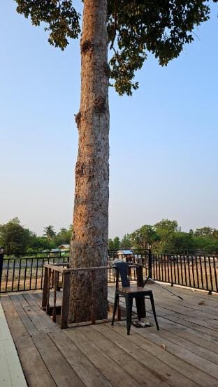 Tree House Home Stay  Vacation rental in Laos