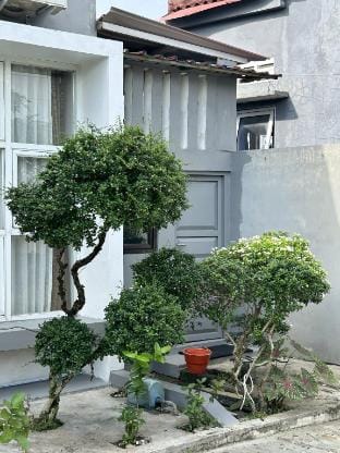 Magnolia Homestay Vacation rental in Indonesia