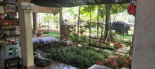 Bentong Hill Cottage Vacation rental in Selangor, Malaysia