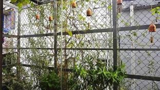 Ho Chi Minh City Houses Vacation rental in Ho Chi Minh City