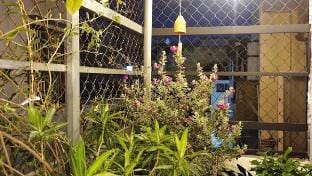 Ho Chi Minh City Houses Vacation rental in Ho Chi Minh City