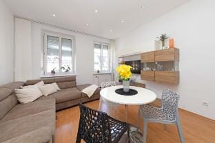 Gorgeous City Center Apartment - Free Parking Apartment in Bratislava