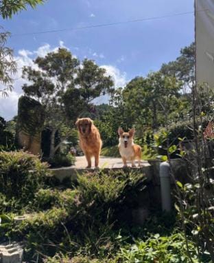 Scent House - Village Vacation rental in Dalat