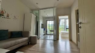 The Base Updown Apartment in Phuket