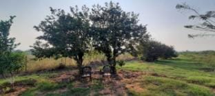 Parikalp Farmstay Farm Stay in India