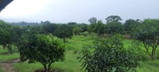 Parikalp Farmstay Farm Stay in India