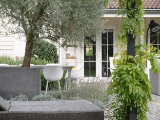 Zeeland Retreat Sauna and Seaside Charm Vacation rental in Zeeland, Netherlands