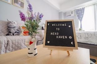 Cat Themed Room | 10 Minute walk from MRT Boni Apartment in Mandaluyong