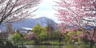 AT302 Now Open! 2 Bedroom Apartment  In Sapporo Apartment in Sapporo