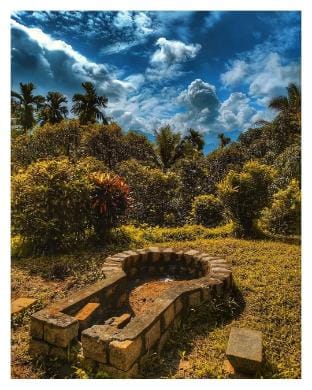 Forest Fusion:LOSE YOURSELF IN NATURE'S LUXURY Vacation rental in Kerala