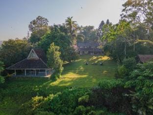 Temuku Pupuan Organic Farm Retreat Vacation rental in Bali