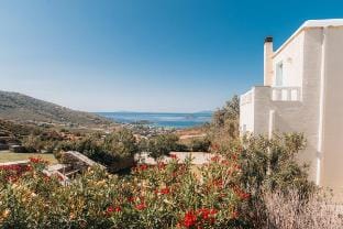 Vacation Home In Andros Villa in Decentralized Administration of the Aegean