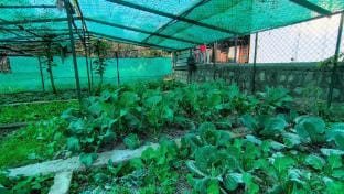 Kalakriti Retreat - Scenic 4BR Cottage By Homeyhut Vacation rental in Uttarakhand