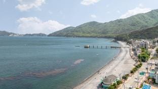 Geoje Peugeot Gomsol PetFriendly Pension Bed and Breakfast in South Korea