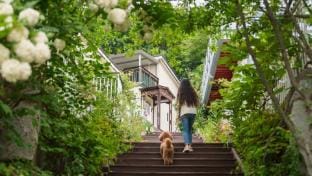 Ganghwa Raube Pet-friendly Pension Bed and Breakfast in Incheon
