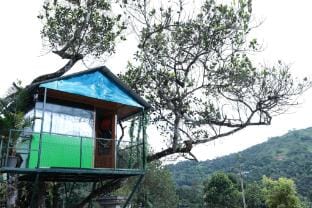Ela Homestay  Farm Stay in Kerala