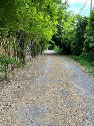 Greeny cozy house Vacation rental in Thailand