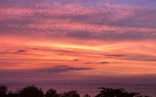Charming Beachfront Retreat – Minutes from Pattaya Apartment in Pattaya City