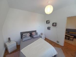 Superb 80 m Duplex in Mulhouse  Ideal Location Apartment in Mulhouse