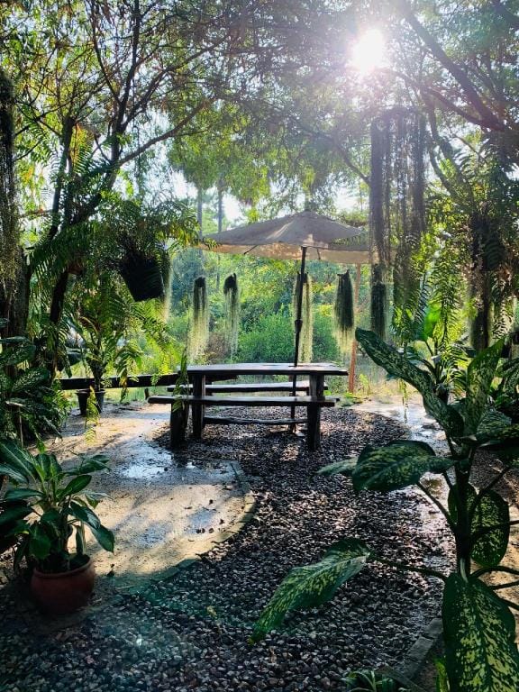 สวนลุงรินโฮมสเตย์ Suan Lung Rin Home Stay Bed and Breakfast in Thailand