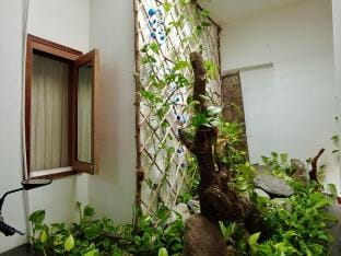 Tuy Hoa-DBL, open garden, near train & airport Vacation rental in Vietnam