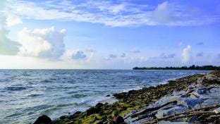 Delta Dreams: Beach Sunset Bliss Vacation rental in Karnataka