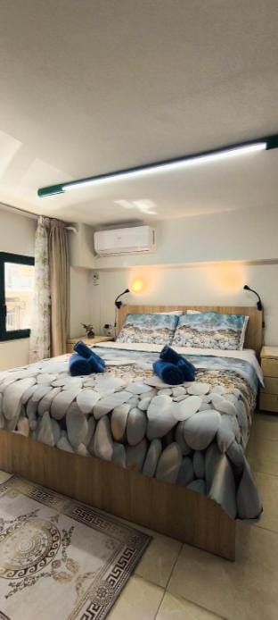 Only 2 km to the ancient Greek Athenian Acropolis Vacation rental in Athens