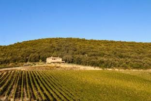 Podere Le Crete by Miani Group Villa in Tuscany