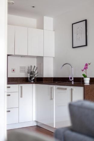 Stylish 1 Bed Flat in Highbury Apartment in London Borough of Islington