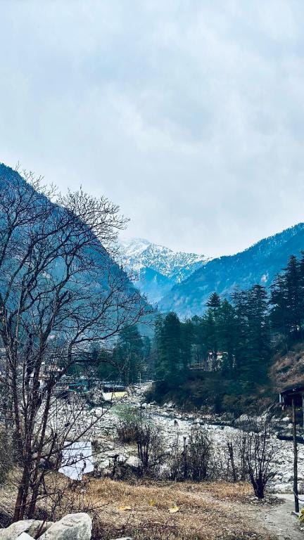 Jumbo'z cabin Bed and Breakfast in Himachal Pradesh