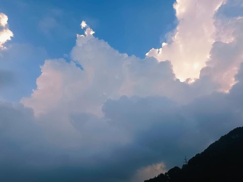 Nature Sanctuary Stay Vacation rental in Shimla