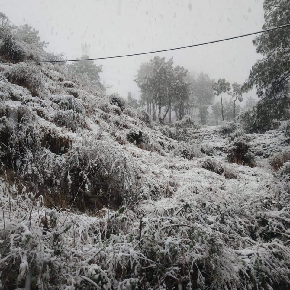 Nature Sanctuary Stay Vacation rental in Shimla