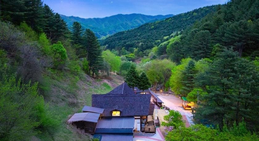 Yangpyeong Sweet Tree Spa Pension Bed and Breakfast in Gyeonggi-do