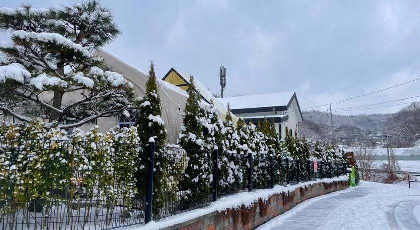 Sarah's Small Garden Bed and Breakfast in South Korea