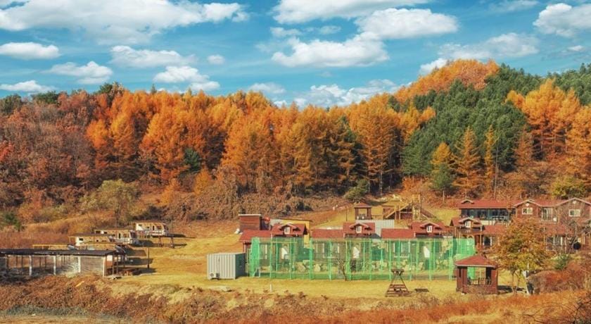 Hoengseong Nature Healing Pool Villa Bed and Breakfast in South Korea