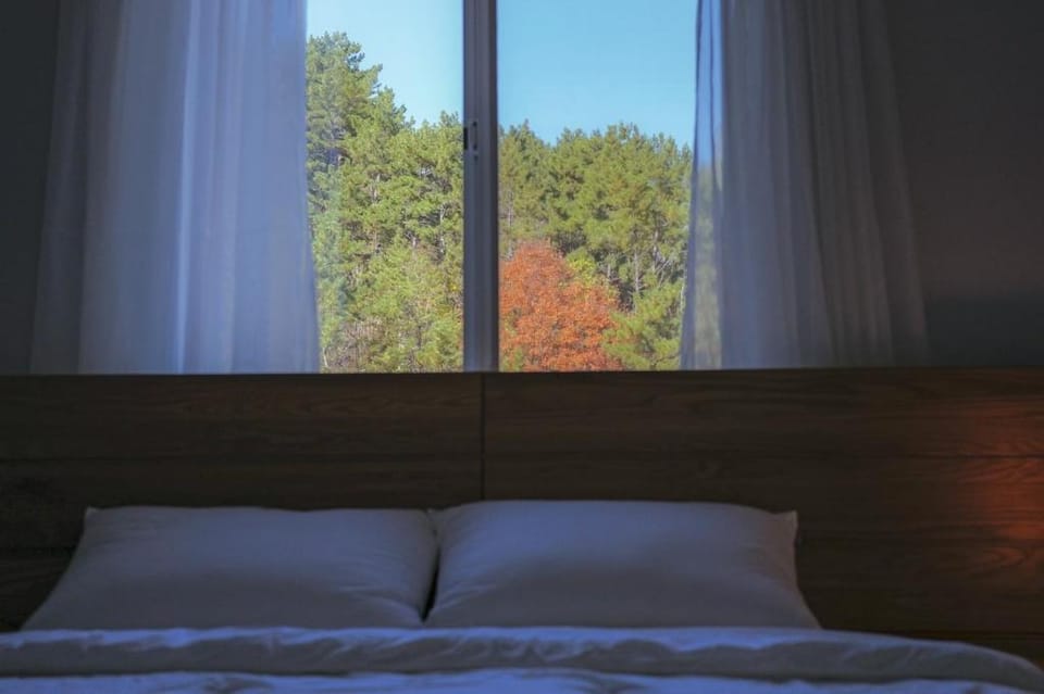 Geoje Mool Private Pension Bed and Breakfast in South Korea