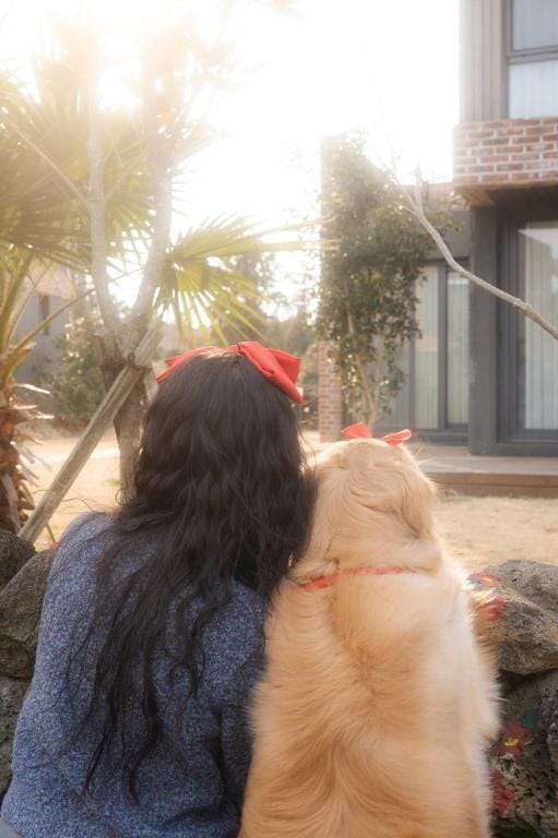 Jeju Daonjae Bed and Breakfast in South Korea