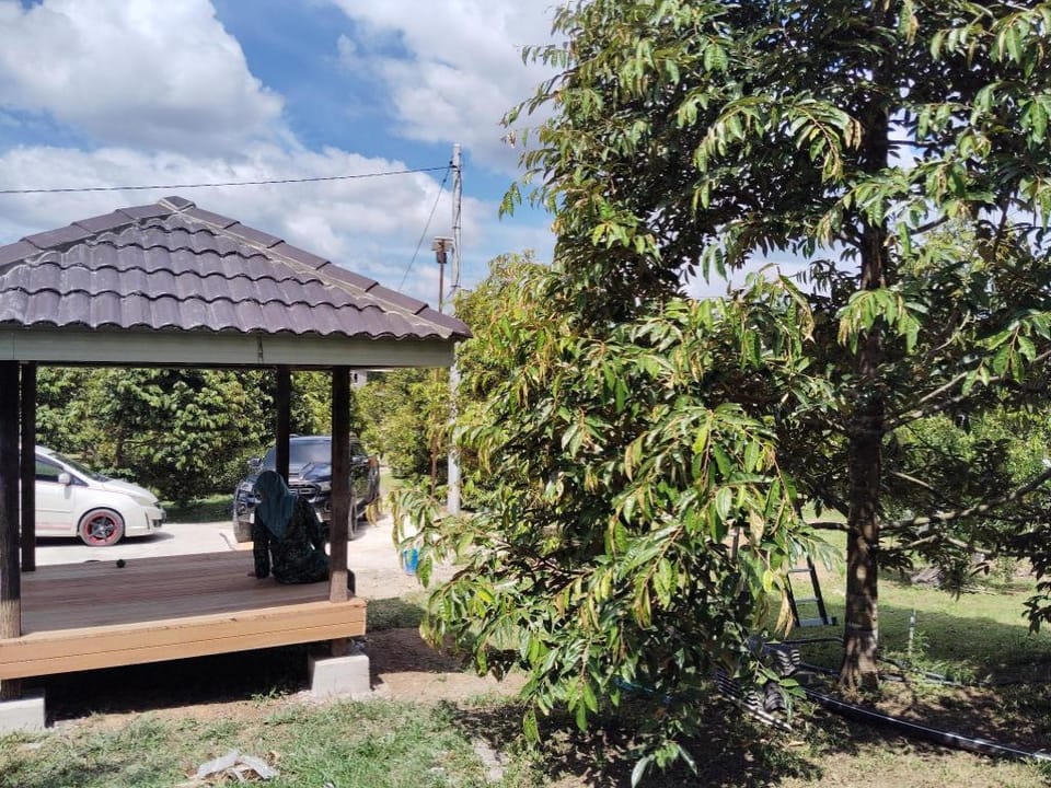Raff durian farm Farm Stay in Pahang, Malaysia